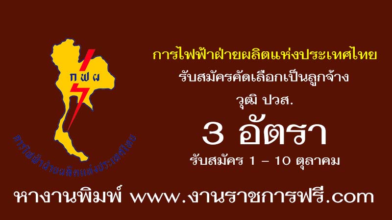 การไฟฟ้าฝ่ายผลิตแห่งประเทศไทย 3 อัตรา