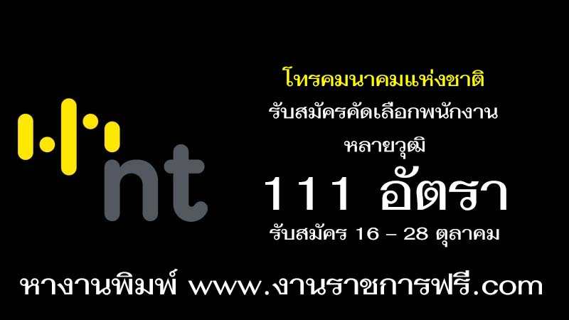 โทรคมนาคมแห่งชาติ 111 อัตรา