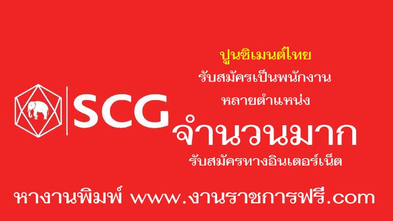 ปูนซิเมนต์ไทย จำนวนมาก