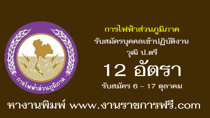 การไฟฟ้าส่วนภูมิภาค 12 อัตรา