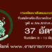 พัฒนาสังคม 37 อัตรา