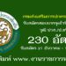 กรมส่งเสริมการปกครองท้องถิ่น 230 อัตรา
