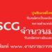 ปูนซิเมนต์ไทย จำนวนมาก